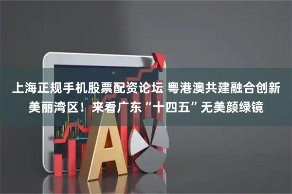 上海正规手机股票配资论坛 粤港澳共建融合创新美丽湾区！来看广东“十四五”无美颜绿镜