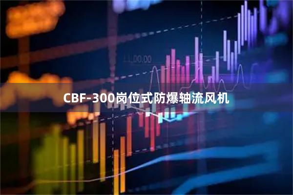 CBF-300岗位式防爆轴流风机
