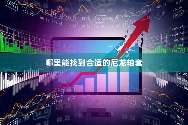 哪里能找到合适的尼龙轴套